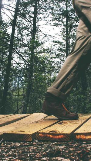 哈密瓜孕妇可以吃吗截图1