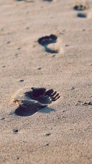 绿宝瓜怎么吃截图1