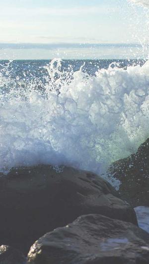 黑料不打烊在线观看截图5