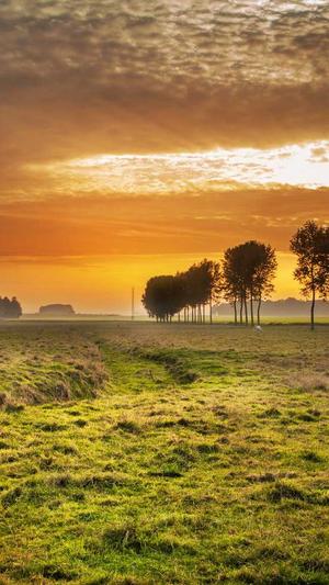 b站小宁子黑料截图1