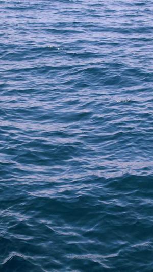 孕妇可以吃凉瓜吗截图4