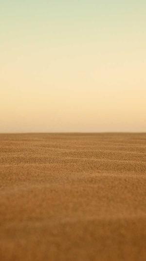 孕期可以吃哈密瓜吗截图3