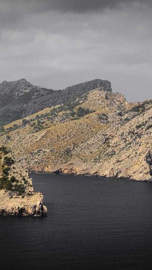 下午吃哈密瓜会胖吗截图3