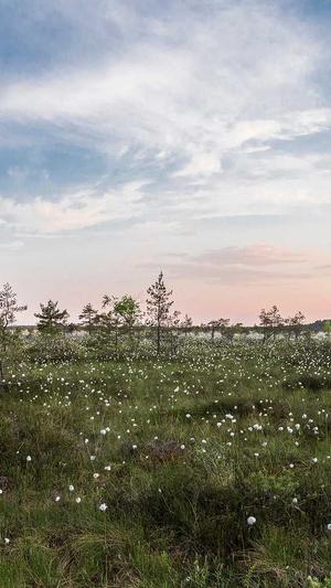 tttzzz黑料不打烊痞幼照片截图2