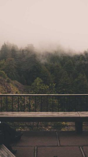 吃瓜 吃土什么意思截图3