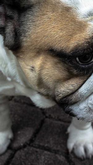 黑料不打烊之万里长征篇截图4