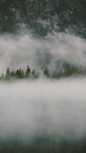 对照组知青吃瓜日常截图4