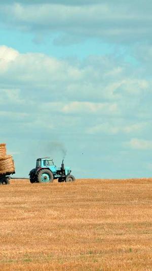 51吃瓜网入口截图2