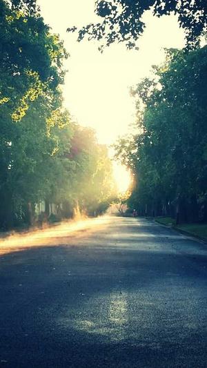 黑料不打样截图1