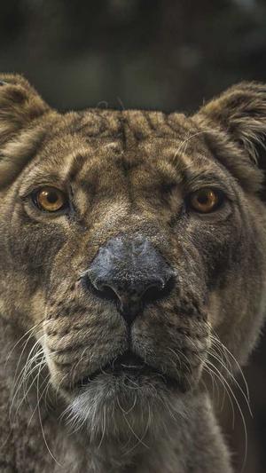 黑料不打烊入口导航so截图3