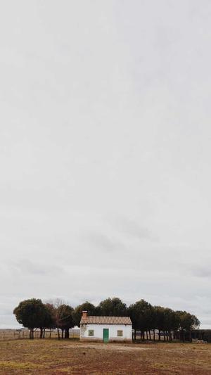 宋芸桦黑料截图2