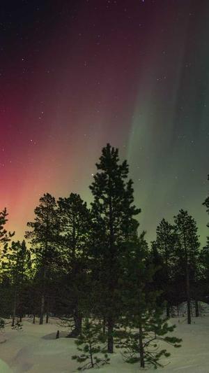 iu黑料有哪些截图2