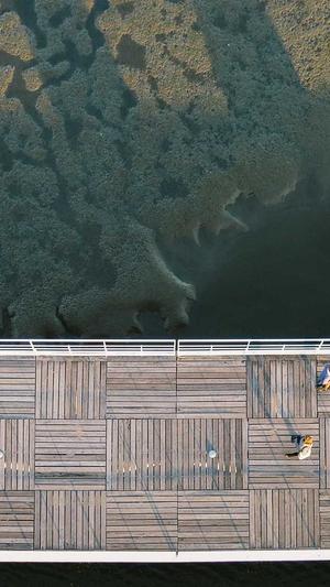 下午吃哈密瓜会胖吗截图4