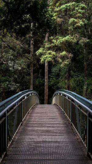 孕妇早期可以吃哈密瓜吗截图3