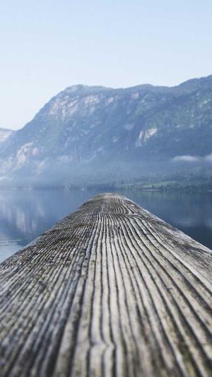 痞幼黑料不打烊截图2