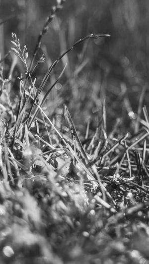 黑料不打烊在线截图3