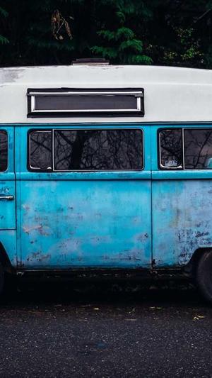 孕妇可以吃哈密瓜吗早期截图1