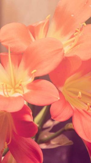 黑料正能量不打烊截图4