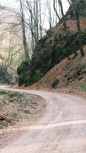 带你一起吃瓜截图3