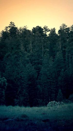 twice每个人的黑料截图3