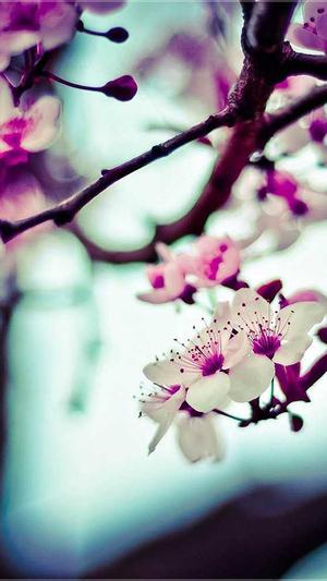 91吃瓜事件黑料吃瓜截图3