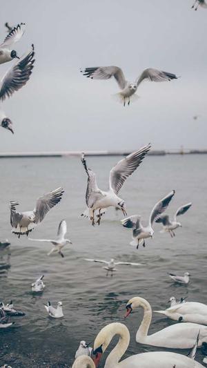 第一黑料影后完整版截图2