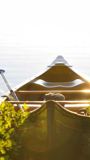 51-爆料吃瓜热心的朝阳截图2