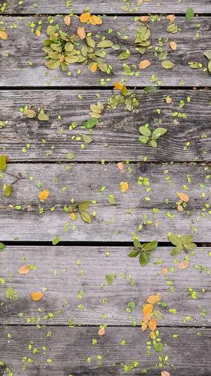 最新吃瓜资源截图1