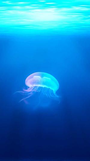 51吃瓜网最新入口截图2