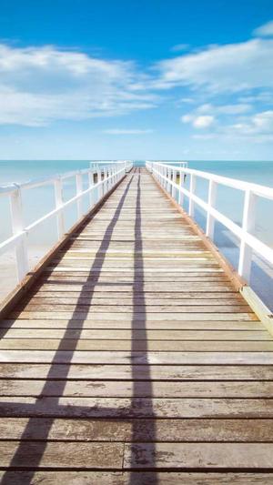 孟子义黑料截图2