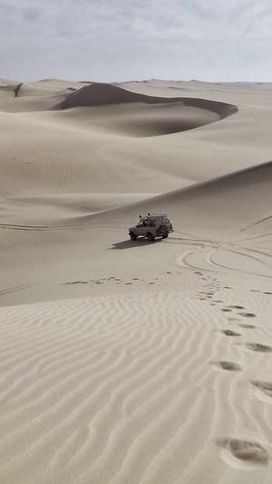 瓜哥带你吃瓜搞笑视频截图3