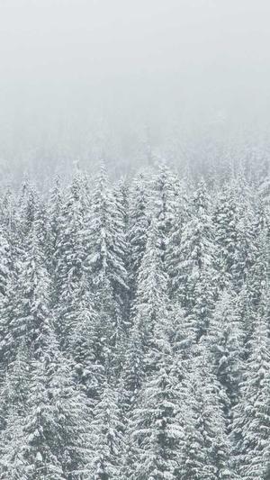 孕中期可以吃哈密瓜吗截图3