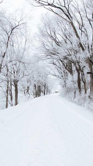 ariaandbrandon黑料截图5