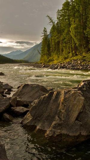 黑料不打样截图5