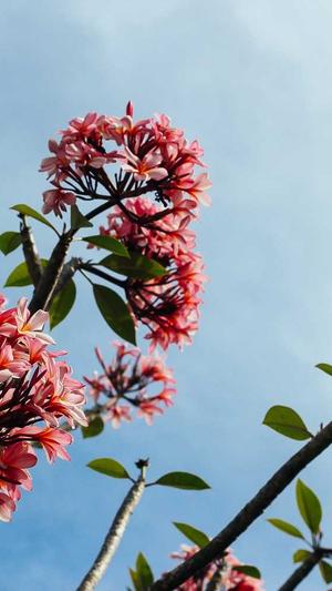 52吃瓜吾爱吃瓜截图4