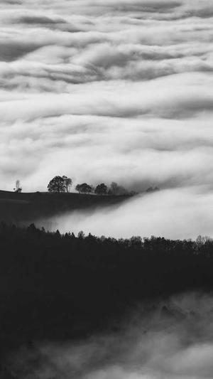 尚雯婕曾舜晞吃瓜截图5